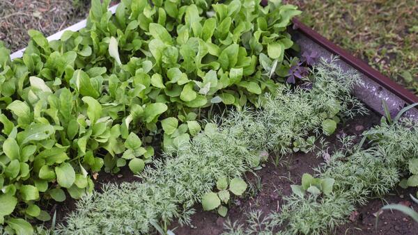  ������� ������� ������� ������� ���� ������� ������ ����������� 