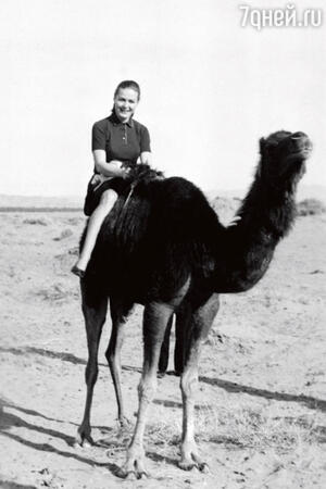 В Египте во время Недели советского кино. Начало 70-х гг. В Египте во время Недели советского кино. Начало 70-х гг.