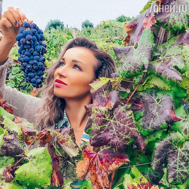 Анфиса Чехова