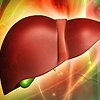 Раскрыты основные ингредиенты японской диеты для здоровья печени Раскрыты основные ингредиенты японской диеты для здоровья печени