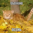 «Осень пахнет разочарованием»: топ 15 мемов об осенней депрессии