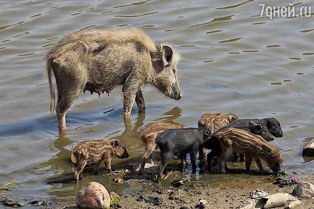Поездка Натальи Водяновой в Индию Поездка Натальи Водяновой в Индию