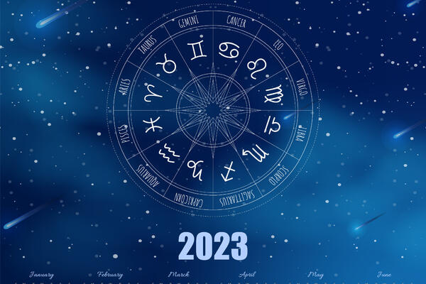   2023    