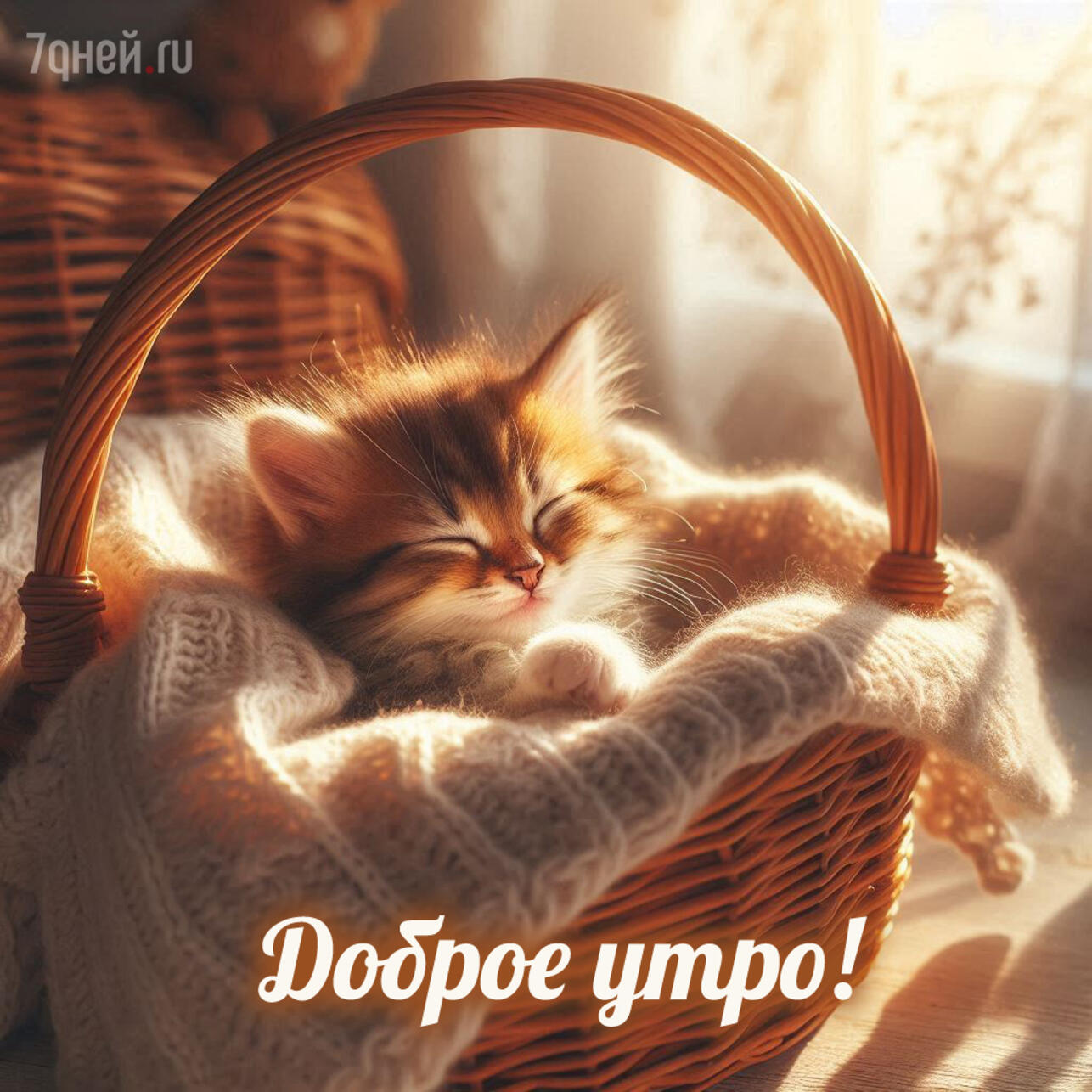 доброе утро картинки, открытки доброе утро, скачать открытки бесплатно, красивые картинки доброе утро, открытки с пожеланиями, доброе утро скачать, открытки для близких, утренние пожелания, добрые картинки, спокойные открытки утро