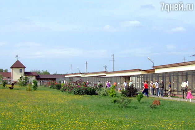 Парк «Воробьи» Парк «Воробьи»