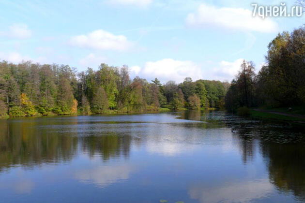 День Эколога в Кузьминском парке День Эколога в Кузьминском парке