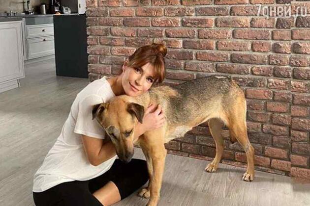 Екатерина Волкова Екатерина Волкова