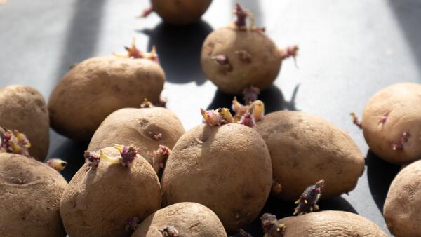  ��������� ������� ������� ������ �������� ����������� 