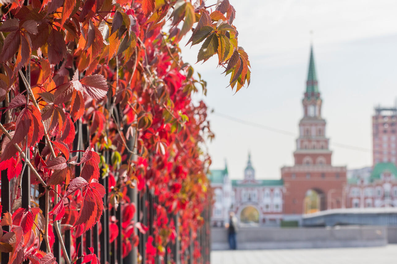 Осень