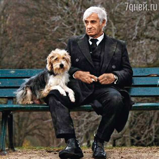 «Человек и его собака» «Человек и его собака»