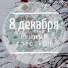 Лунный гороскоп на 8 декабря, воскресенье Лунный гороскоп на 8 декабря, воскресенье