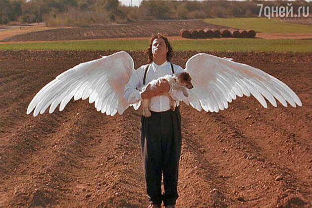 Герой Джона Траволты в фильме «Майкл» (1996 г.) пахнет печеньем, волочится за женщинами, любит выпить. А еще именно он придумал для людей танцы! Герой Джона Траволты в фильме «Майкл» (1996 г.) пахнет печеньем, волочится за женщинами, любит выпить. А еще именно он придумал для людей танцы!