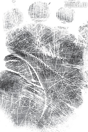 Рисунок 1 Рисунок 1