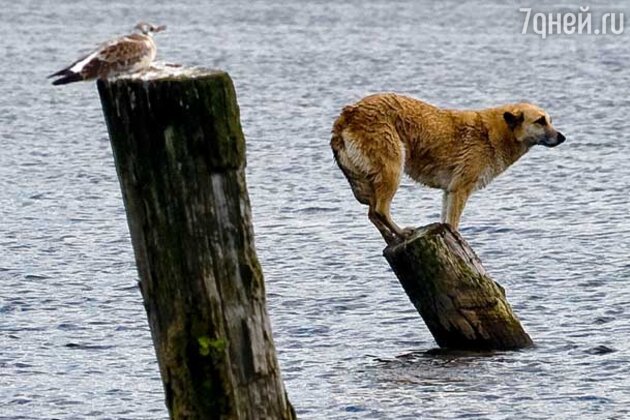 Фотовыставка «Тепло, еще теплее? Взгляд на новый климат» Фотовыставка «Тепло, еще теплее? Взгляд на новый климат»