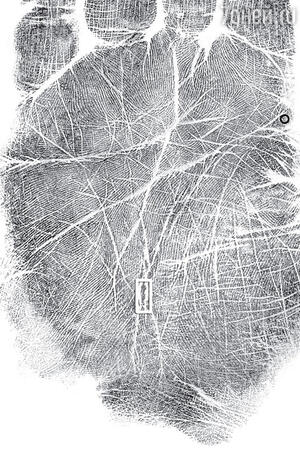 Рисунок 2 Рисунок 2