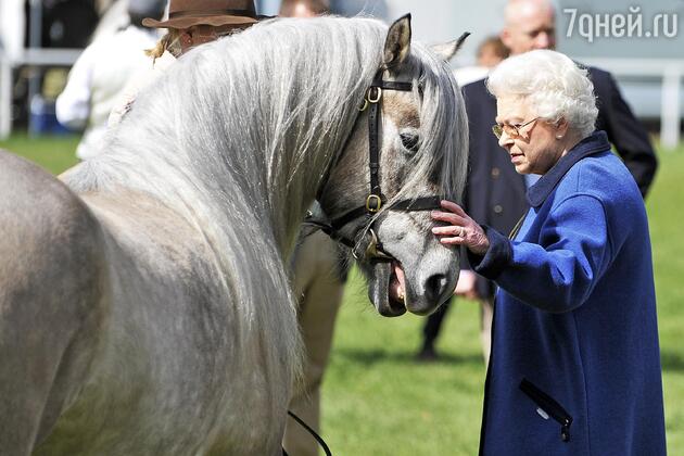Елизавета II Елизавета II