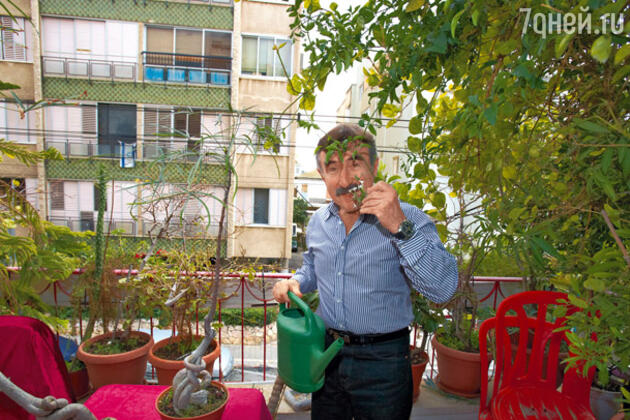 «Первый год было страшно. Пришлось нырнуть с головой в этот иврит. Бумажками со словами были обвешаны все стены в нашей квартире» «Первый год было страшно. Пришлось нырнуть с головой в этот иврит. Бумажками со словами были обвешаны все стены в нашей квартире»