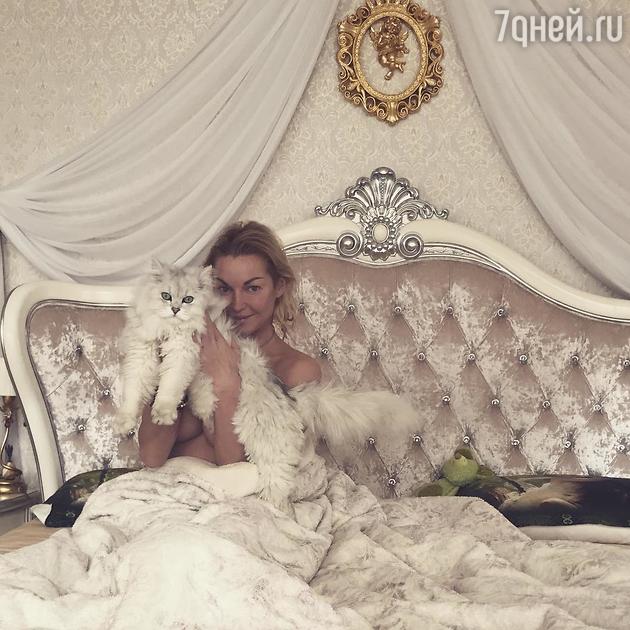 Анастасия Волочкова Анастасия Волочкова