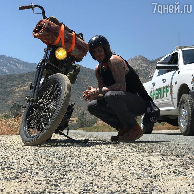 Дэвид Бекхэм Дэвид Бекхэм