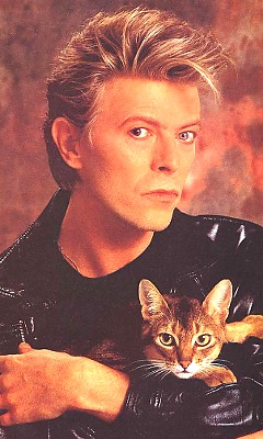 Дэвид Боуи (David Bowie) Дэвид Боуи (David Bowie)