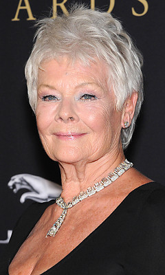 Джуди Денч (Judi Dench) Джуди Денч (Judi Dench)