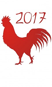 Новый год 2017 Новый год 2017