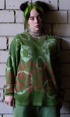 Билли Айлиш (Billie Eilish) Билли Айлиш (Billie Eilish)
