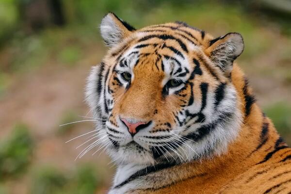 29 июля: какой сегодня праздник?