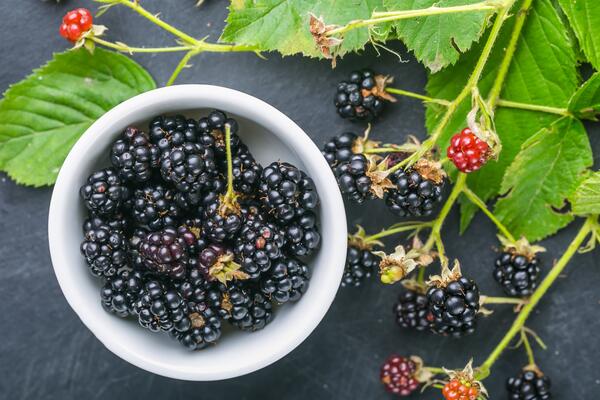 21 августа: какой сегодня праздник?