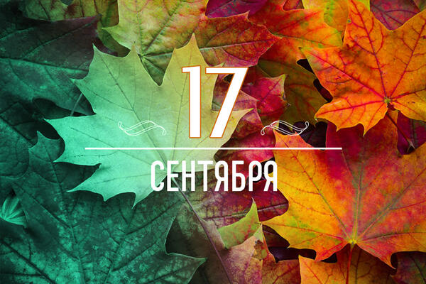       17  