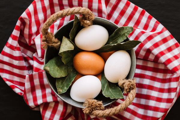 Королева Елизавета ошибалась: о влиянии цвета скорлупы на качество яиц