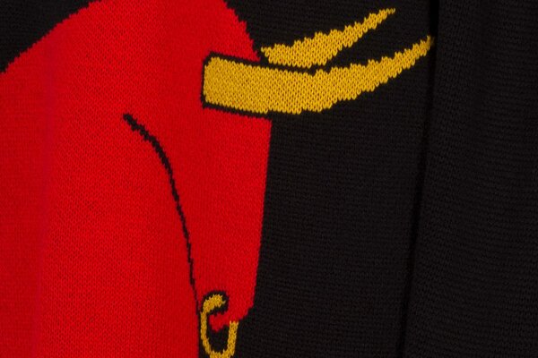 Свитер с быком и жилет с чеширским котом: 5 вещей от российских дизайнеров