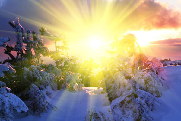 Как правильно провести день зимнего солнцестояния 21 декабря — астролог Зарипова описала ценный ритуал