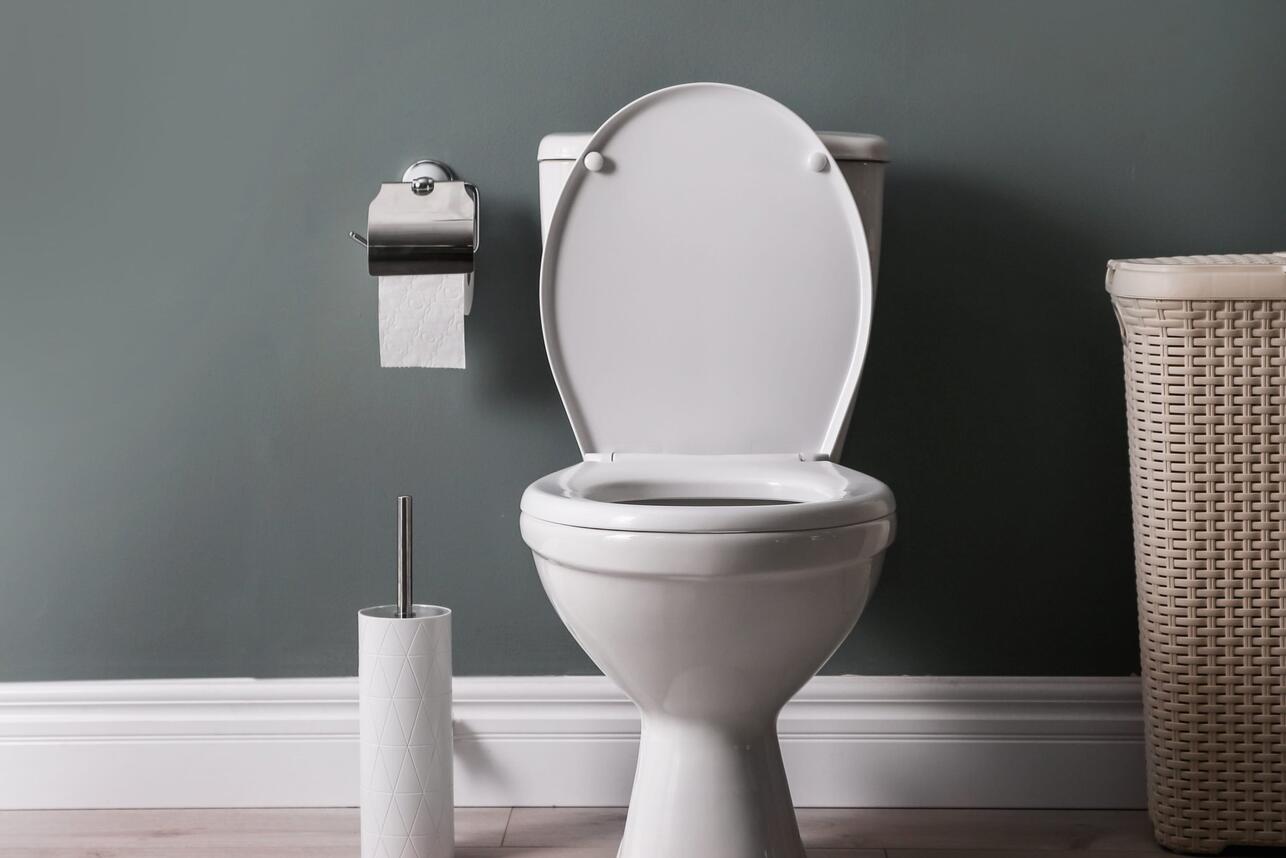 Секрет чистоты: как заставить сантехнику сиять, забыв о «букете» ароматов за 5 минут Секрет чистоты: как заставить сантехнику сиять, забыв о «букете» ароматов за 5 минут