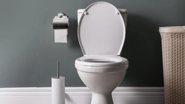 Секрет&nbsp; чистоты: как заставить сантехнику сиять, забыв о «букете» ароматов за 5 минут