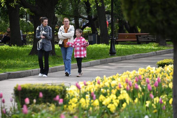 «Красивая» погода: метеоролог рассказал, что нас ждет на выходных