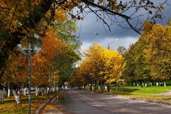 Синоптик Тишковец озвучил прогноз на неделю, с 22 по 28 сентября — ворвется полярный холод