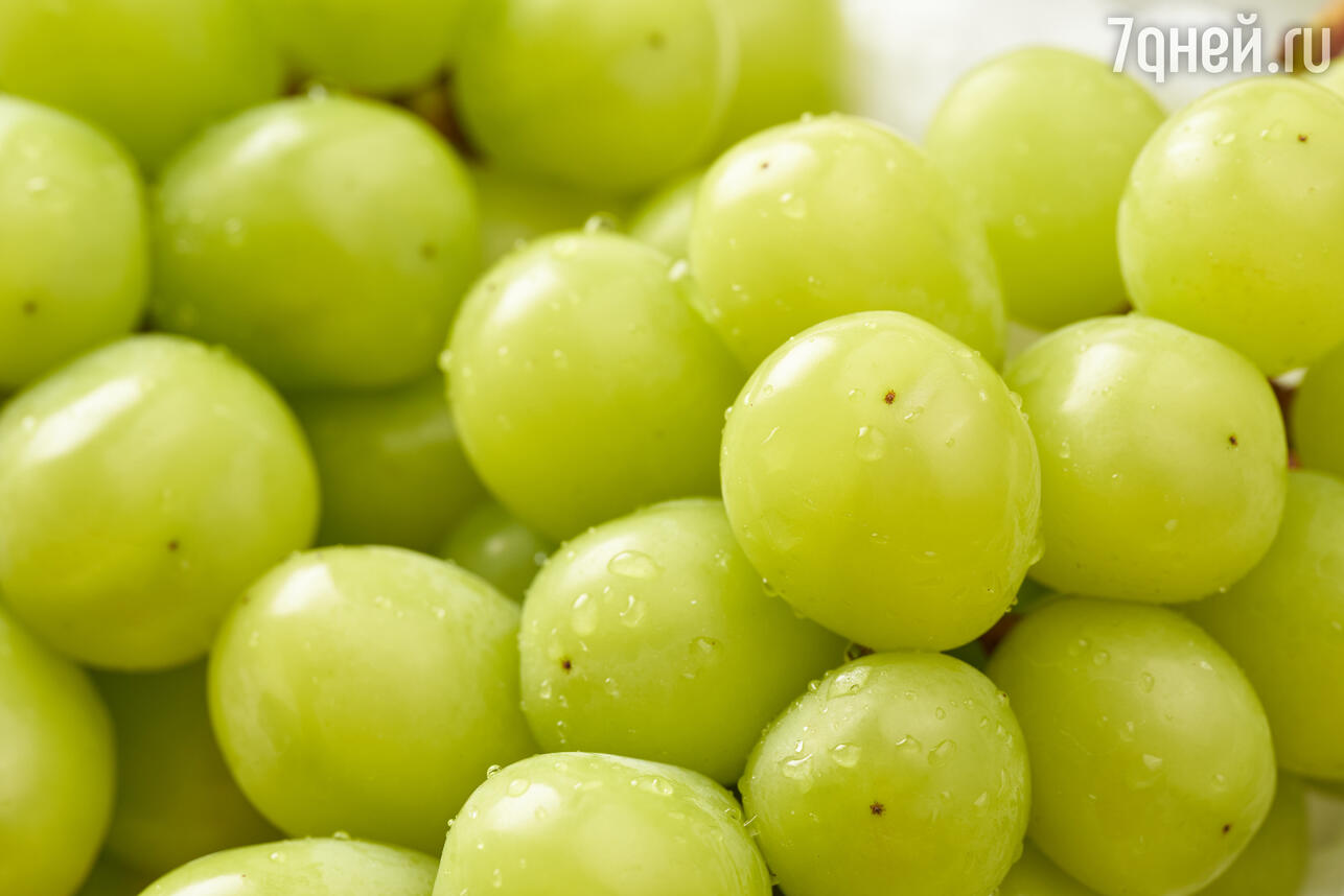 86 РљР°Рє РјС‹С‚СЊ РІРёРЅРѕРіСЂР°Рґ РїСЂР°РІРёР»СЊРЅРѕ вЂ” Р·Р°РјРѕСЂРѕР·РєР° Р»СѓС‡С€Рµ СЃРїРµС€РєРё