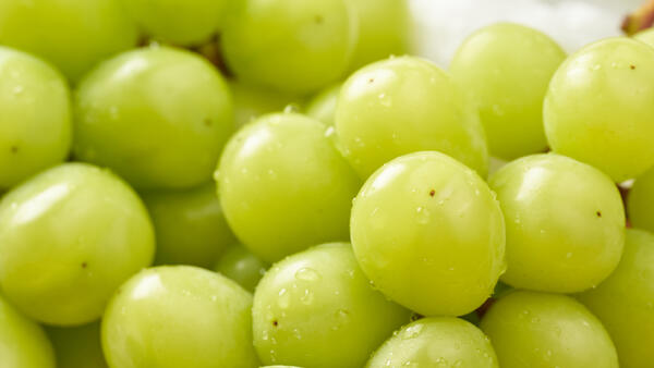 Как&nbsp; мыть виноград правильно — заморозка лучше спешки