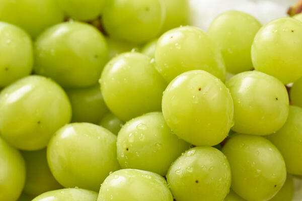 Как мыть виноград правильно — заморозка лучше спешки