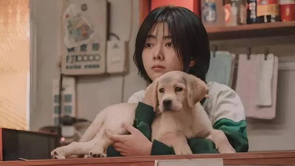 «Собачья жизнь: друзья навек» и еще четыре добрых китайских фильма