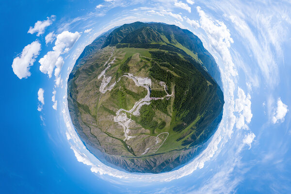 День эколога 2021