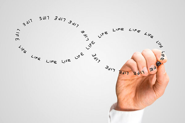  :    2017 