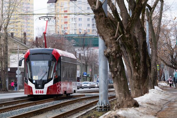 3 декабря: какой сегодня праздник?