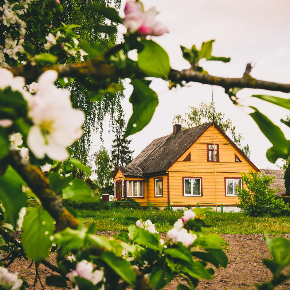 Соседи обзавидуются: 10 товаров, которые сделают ваш отдых на даче комфортнее