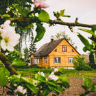 Соседи обзавидуются: 10 товаров, которые сделают ваш отдых на даче комфортнее