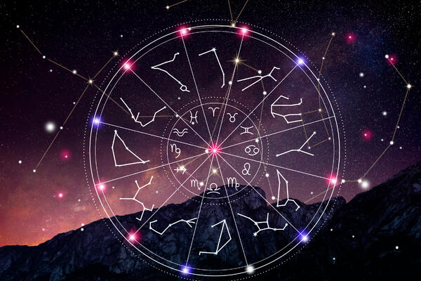 Фавориты года Змеи: Павел Глоба предрек успех одному знаку восточного гороскопа