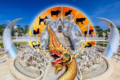  Тайский гороскоп с 21 по 31 декабря для всех знаков восточного зодиака