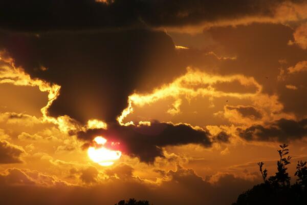  2025 год будет еще хуже: ученые поменяли прогнозы и признали свою ошибку