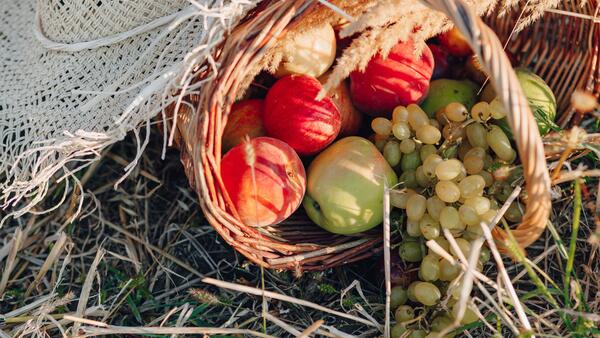 Что собирать в июле: календарь сбора урожая